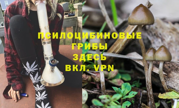 мет Алексеевка