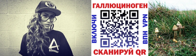 что такое   OMG зеркало  Псилоцибиновые грибы Psilocybine cubensis  Кемь 